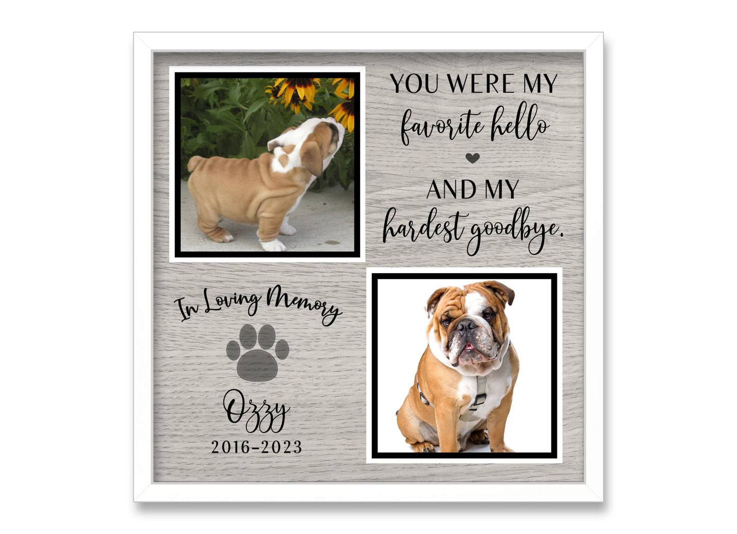 Personalized Pet Loss Gift, Loss of Dog or Cat Picture Frame, 10x10 Animals & Pet Supplies Matboard Memories   