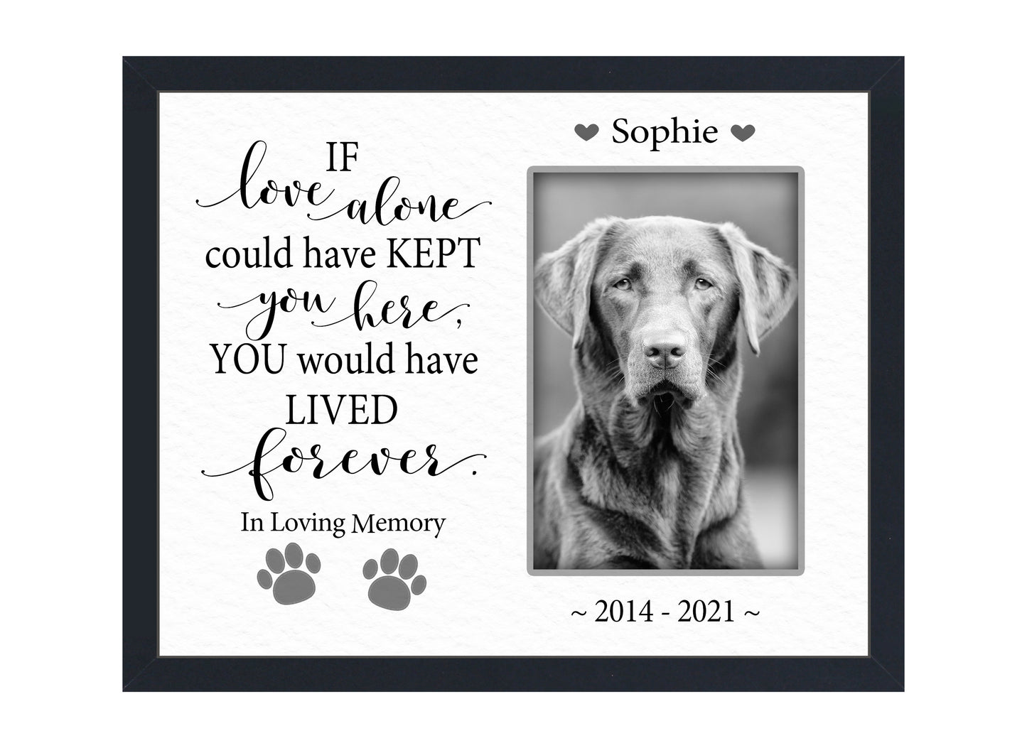 Pet Loss Gift, Personalized Dog or Cat Memorial Picture Frame, 8x10 Picture Frame Matboard Memories   