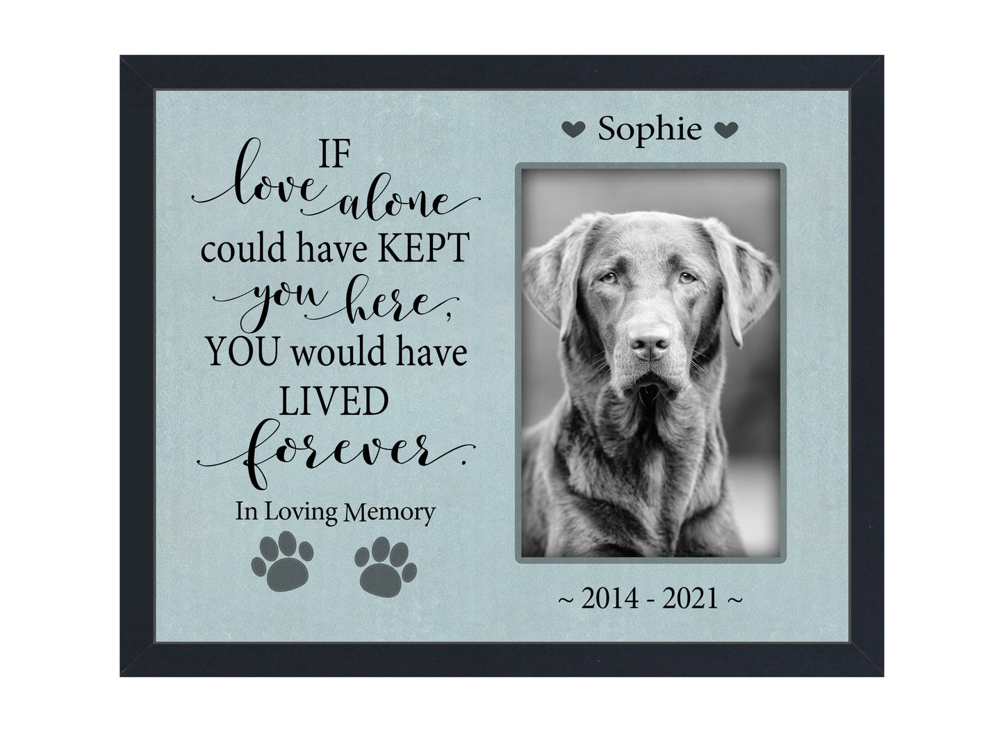 Pet Loss Gift, Personalized Dog or Cat Memorial Picture Frame, 8x10 Picture Frame Matboard Memories   