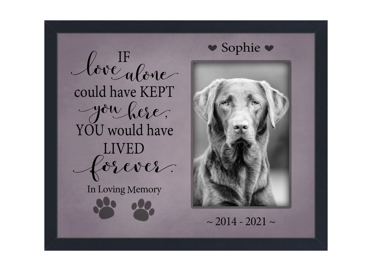 Pet Loss Gift, Personalized Dog or Cat Memorial Picture Frame, 8x10 Picture Frame Matboard Memories   