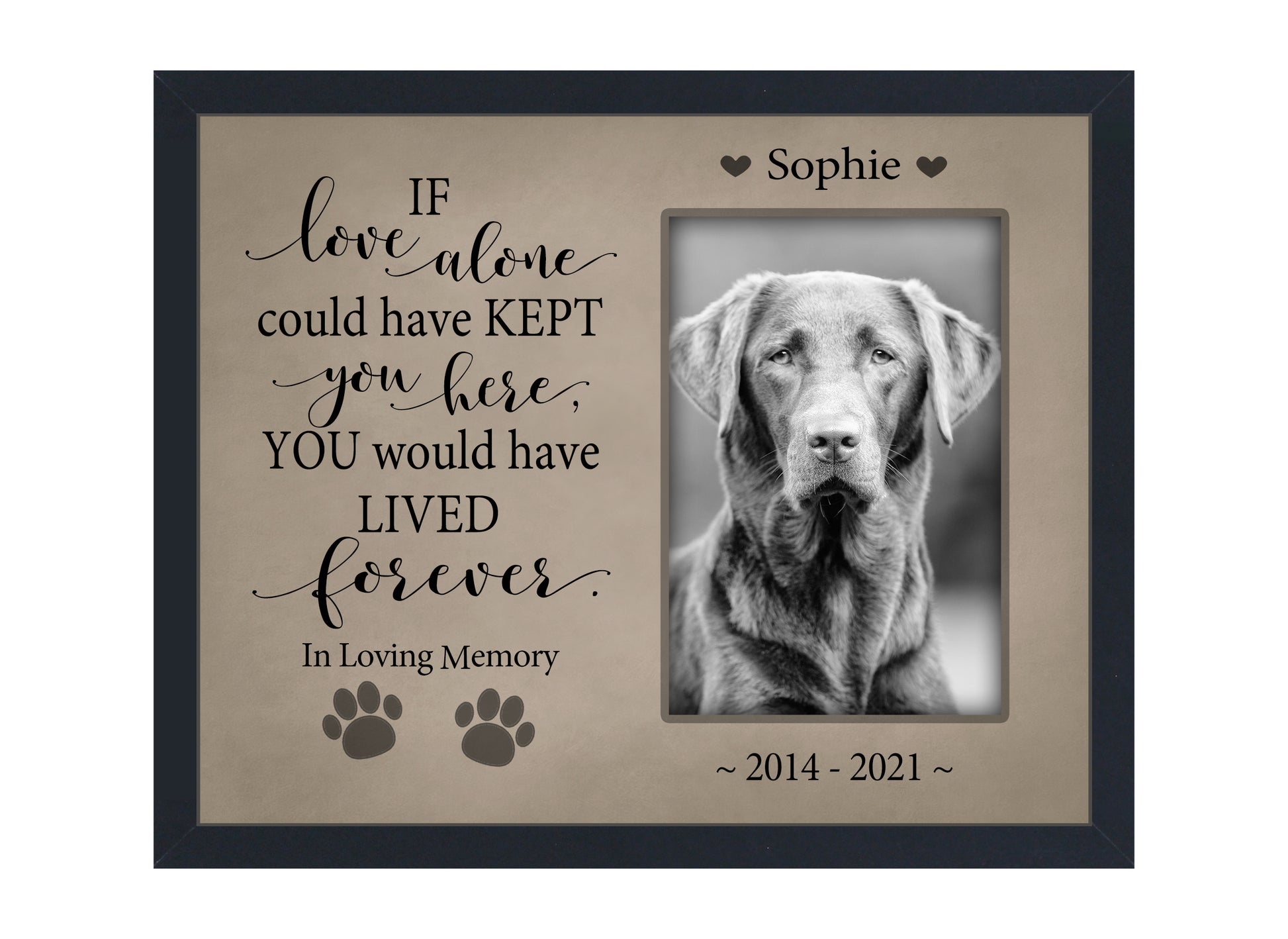 Pet Loss Gift, Personalized Dog or Cat Memorial Picture Frame, 8x10 Picture Frame Matboard Memories   