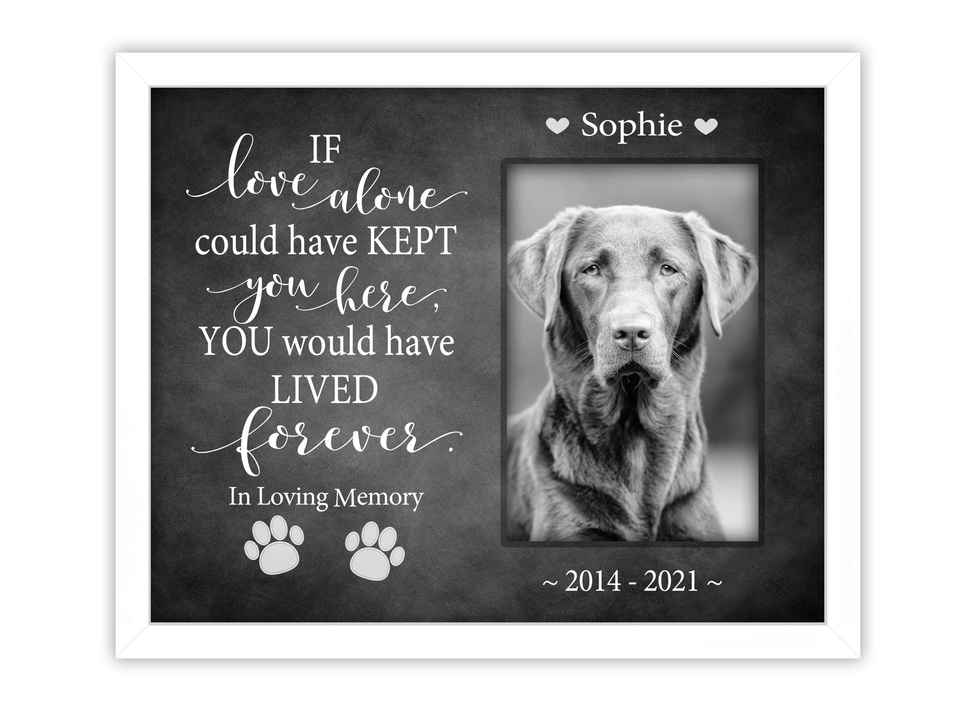 Pet Loss Gift, Personalized Dog or Cat Memorial Picture Frame, 8x10 Picture Frame Matboard Memories   