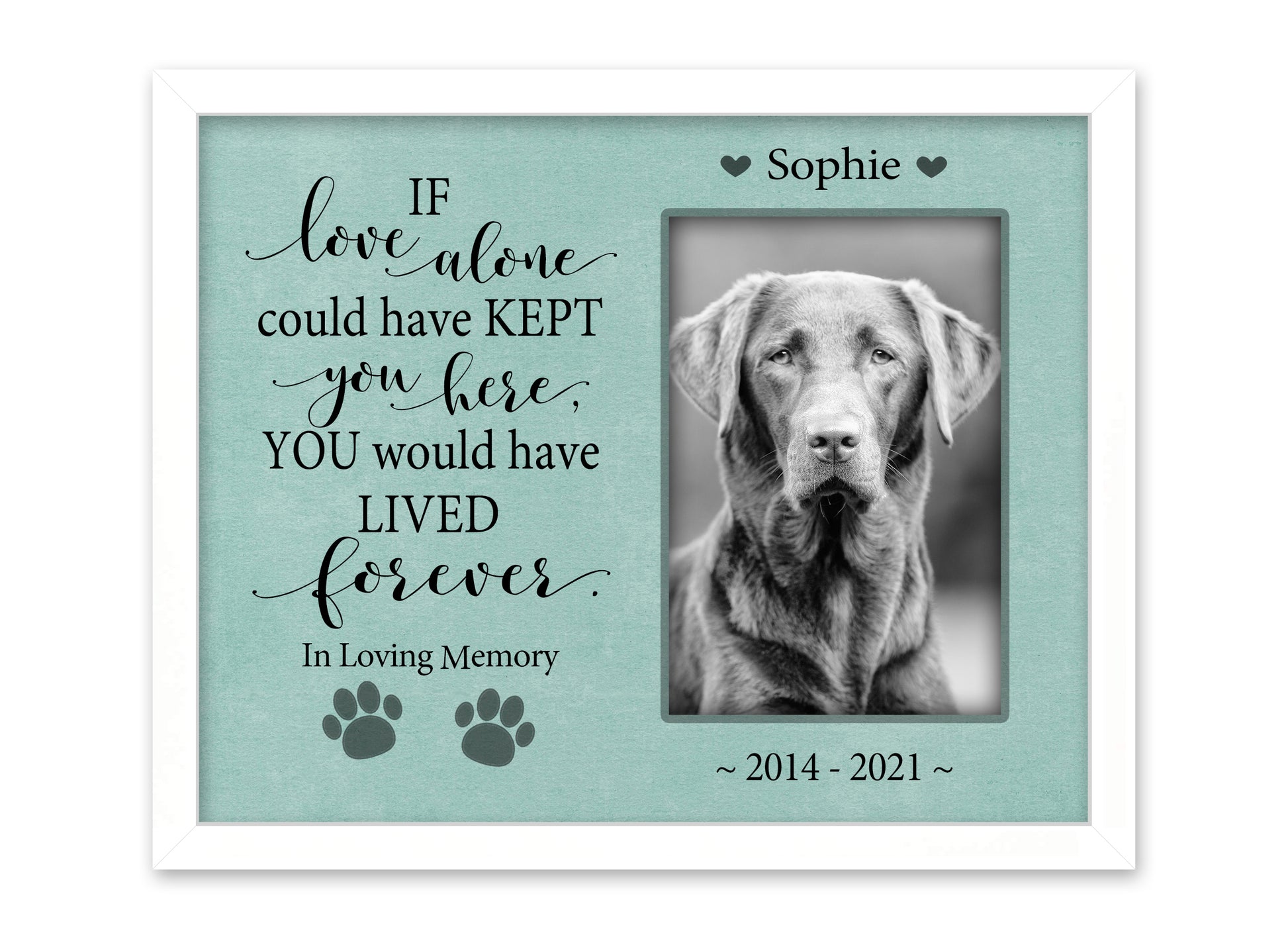 Pet Loss Gift, Personalized Dog or Cat Memorial Picture Frame, 8x10 Picture Frame Matboard Memories   