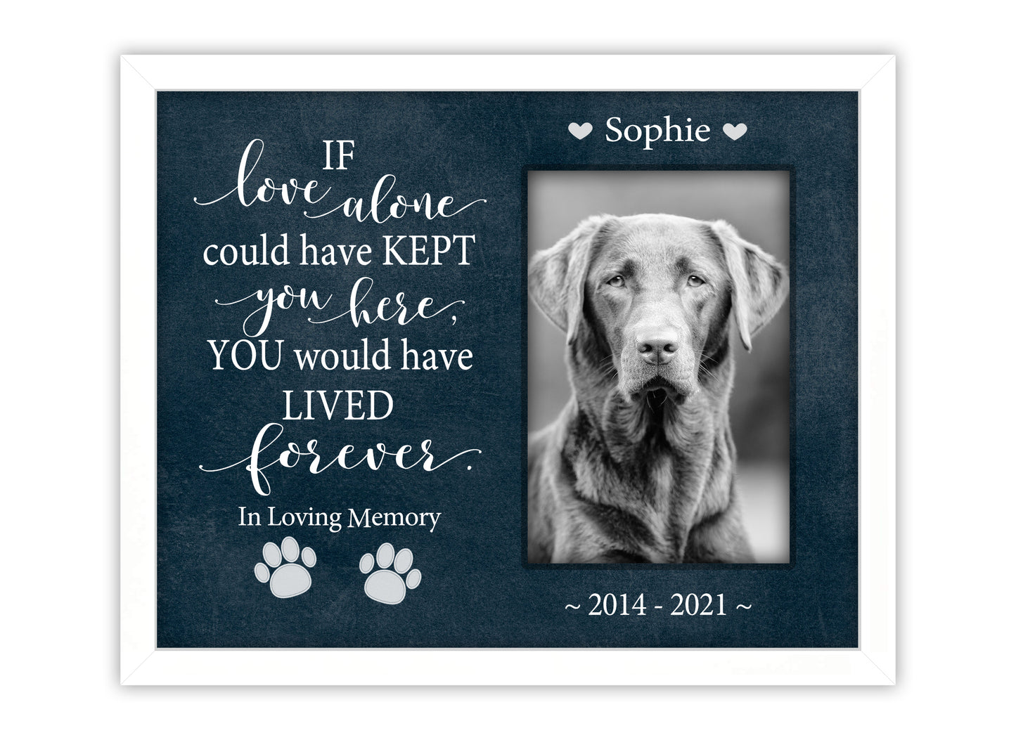 Pet Loss Gift, Personalized Dog or Cat Memorial Picture Frame, 8x10 Picture Frame Matboard Memories   