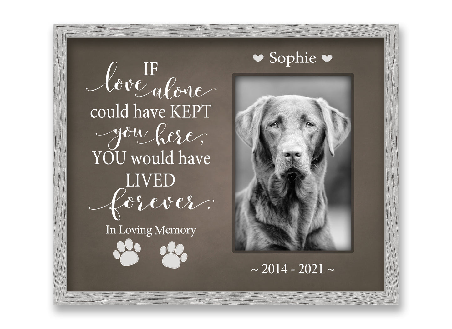 Pet Loss Gift, Personalized Dog or Cat Memorial Picture Frame, 8x10 Picture Frame Matboard Memories   