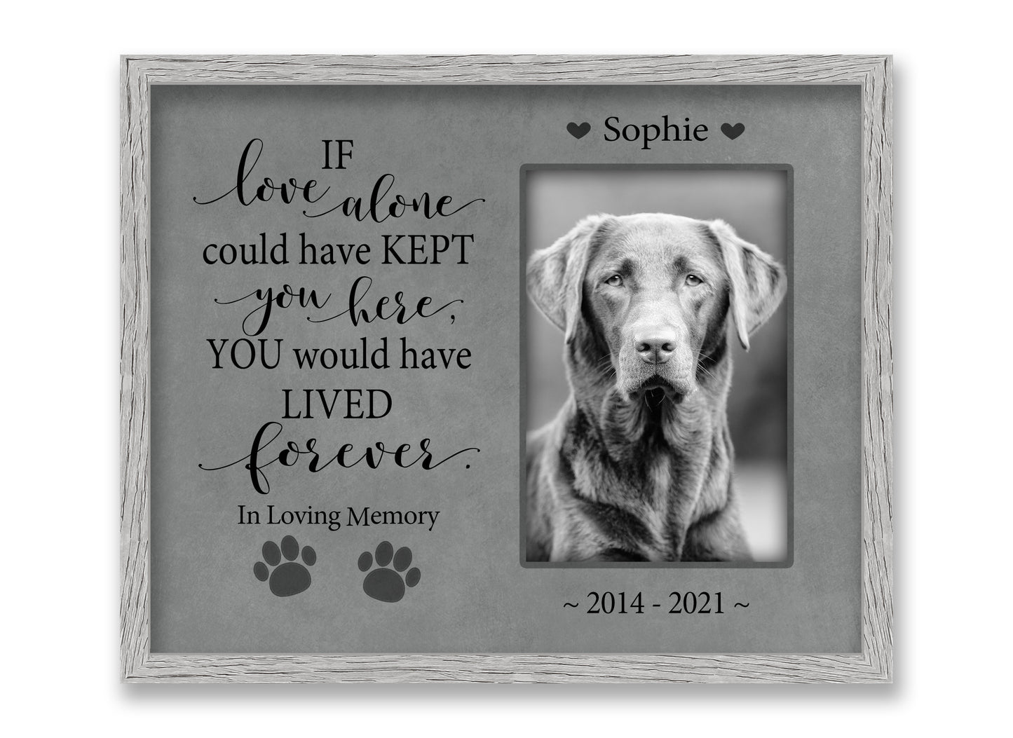 Pet Loss Gift, Personalized Dog or Cat Memorial Picture Frame, 8x10 Picture Frame Matboard Memories   