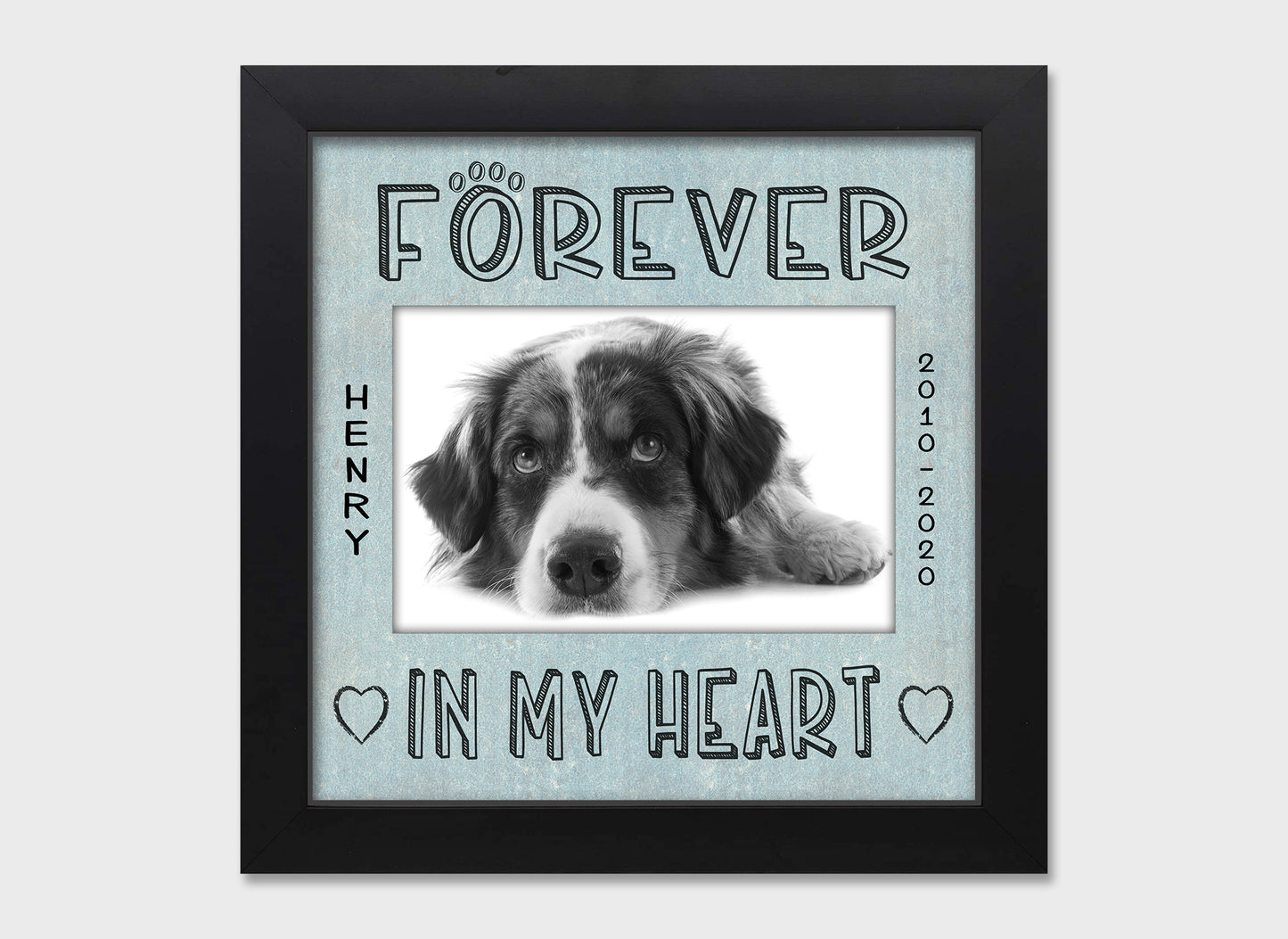 Pet loss personalized picture frame, Forever in My Heart, 8x8  Matboard Memories Bluish-Gray Matboard in Black Frame  