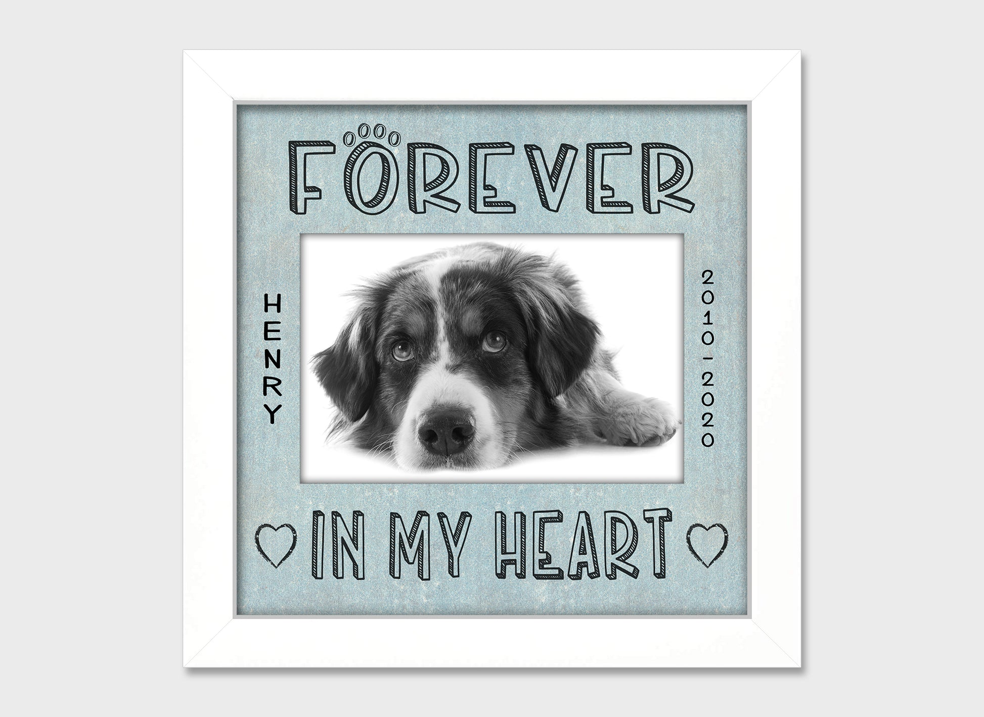 Pet loss personalized picture frame, Forever in My Heart, 8x8  Matboard Memories Bluish-Gray Matboard in White Frame  