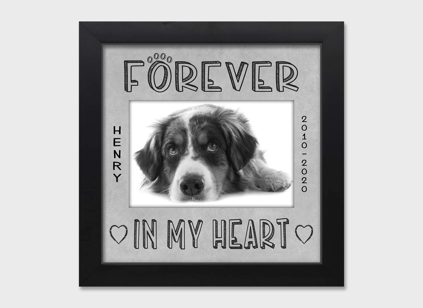 Pet loss personalized picture frame, Forever in My Heart, 8x8  Matboard Memories Gray Matboard in Black Frame  