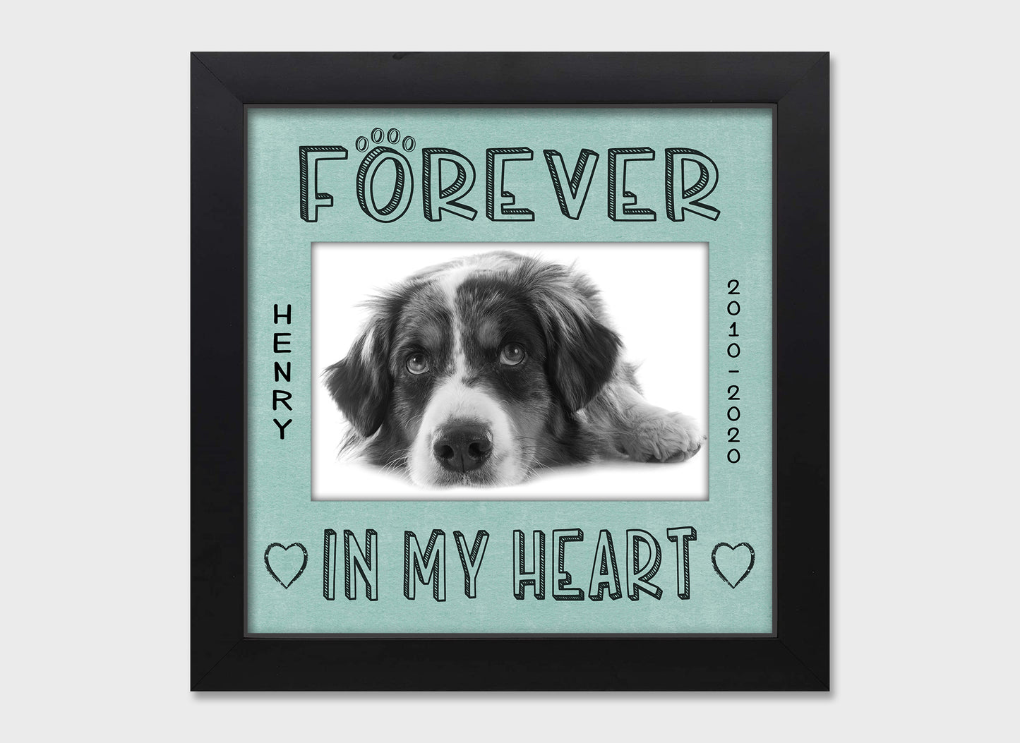 Pet loss personalized picture frame, Forever in My Heart, 8x8  Matboard Memories Turquoise Matboard in Black Frame  