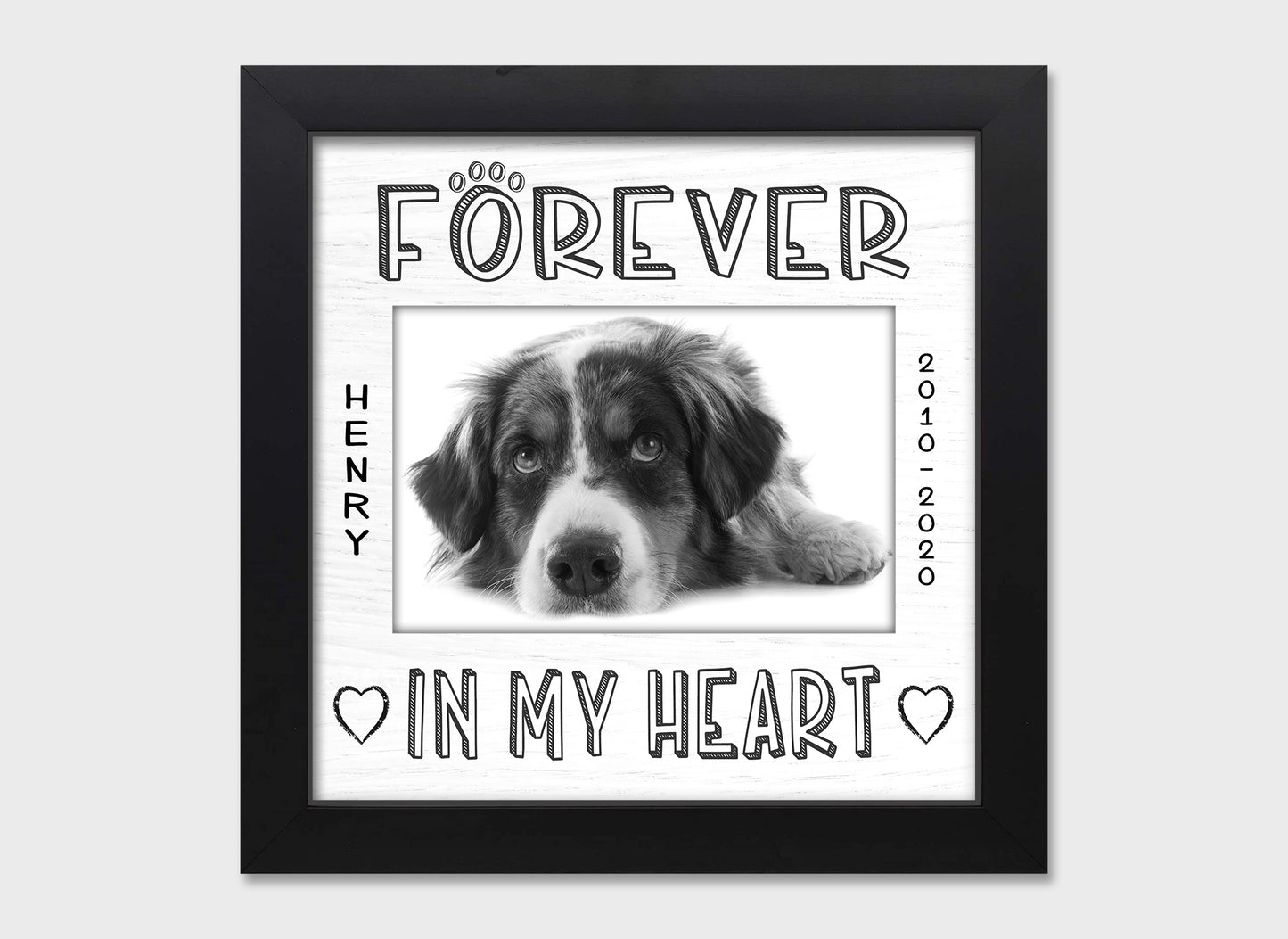 Pet loss personalized picture frame, Forever in My Heart, 8x8  Matboard Memories White Matboard in Black Frame  