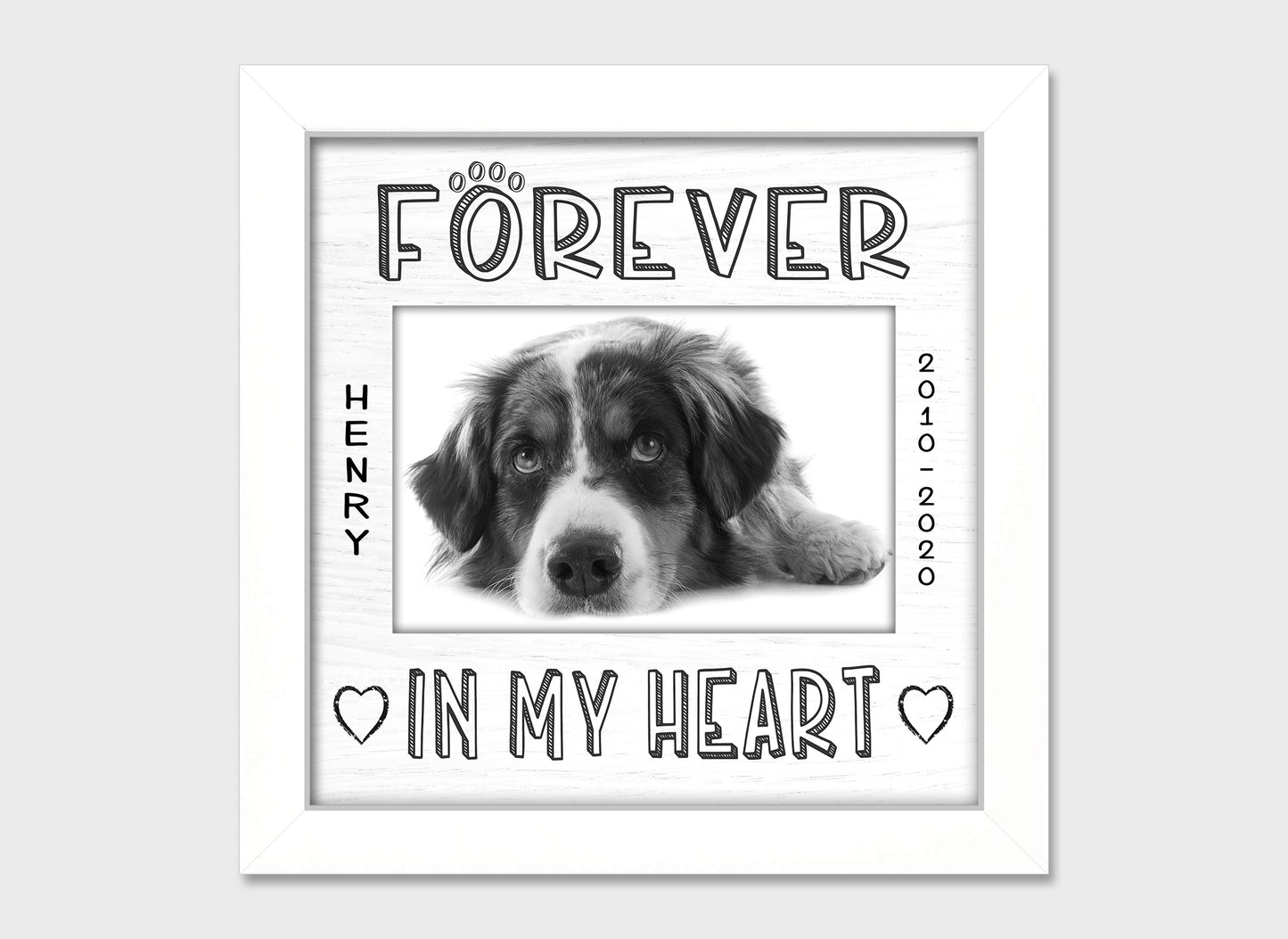 Pet loss personalized picture frame, Forever in My Heart, 8x8  Matboard Memories White Matboard in White Frame  